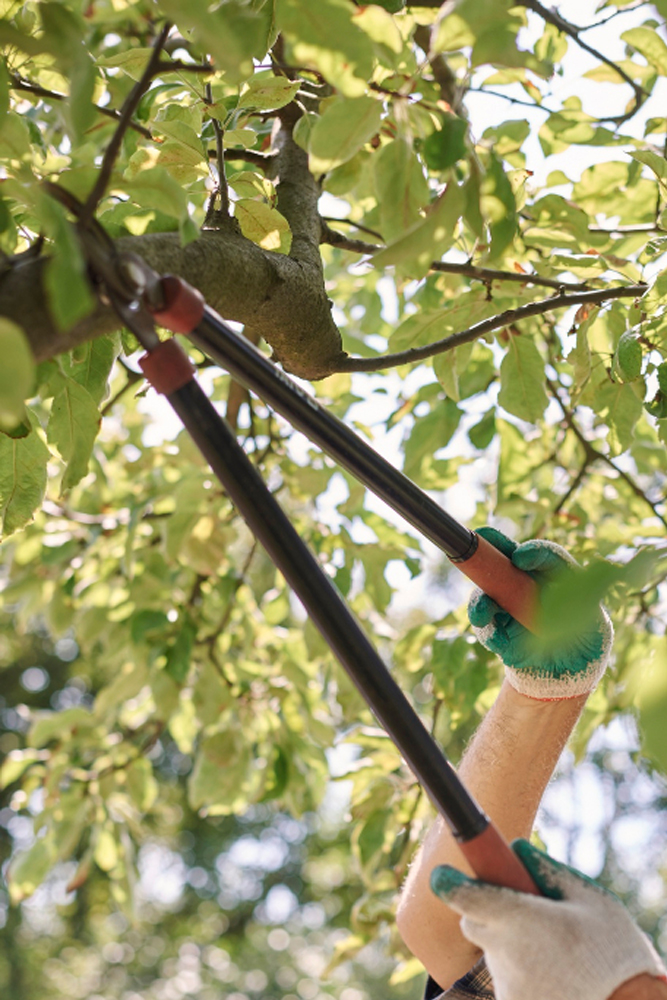Élagueur en intervention à Saint-Gingolph